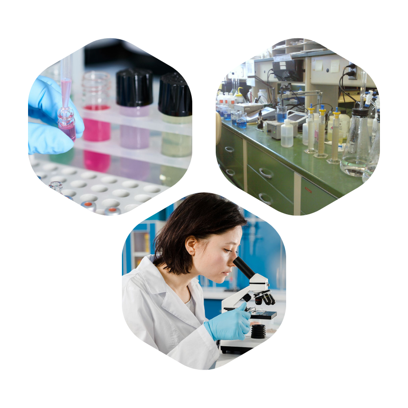 About Riddhi Lifesciences